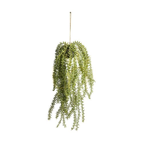 Verifica Cactus agățat Horsetail verde Gallery Direct 58 cm fier și plastic PE