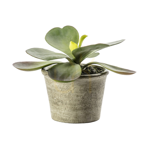 Verifica Kalanchoe artificială verde în ghiveci rustic, 15 cm, Gallery Direct 5059413399244