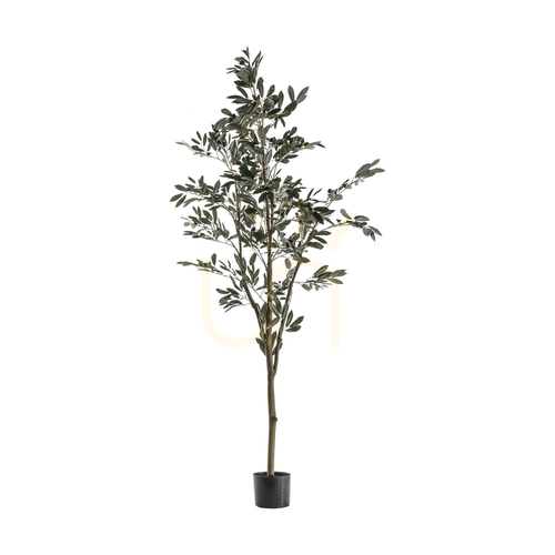 Verifica Măslin artificial Gallery Direct verde 182 cm poliester fier plastic 5059413399848