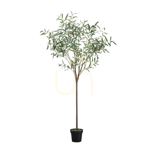 Verifica Măslin artificial verde 172 cm Gallery Direct 5059413698620