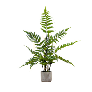 Ferigă artificială în ghiveci de ciment Gallery Direct 71 cm 5059413694363 small 0