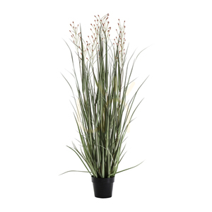 Iarbă artificială în ghiveci Gallery Direct verde/ruginiu 155 cm 5059413398957 0 Iarbă artificială în ghiveci Gallery Direct verde/ruginiu 155 cm 5059413398957 small 0