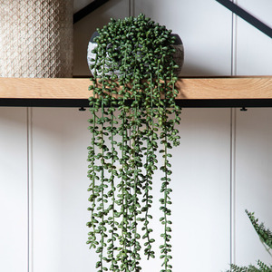 Plantă artificială suspendată String of Pearls Gallery Direct verde 72 cm small 1
