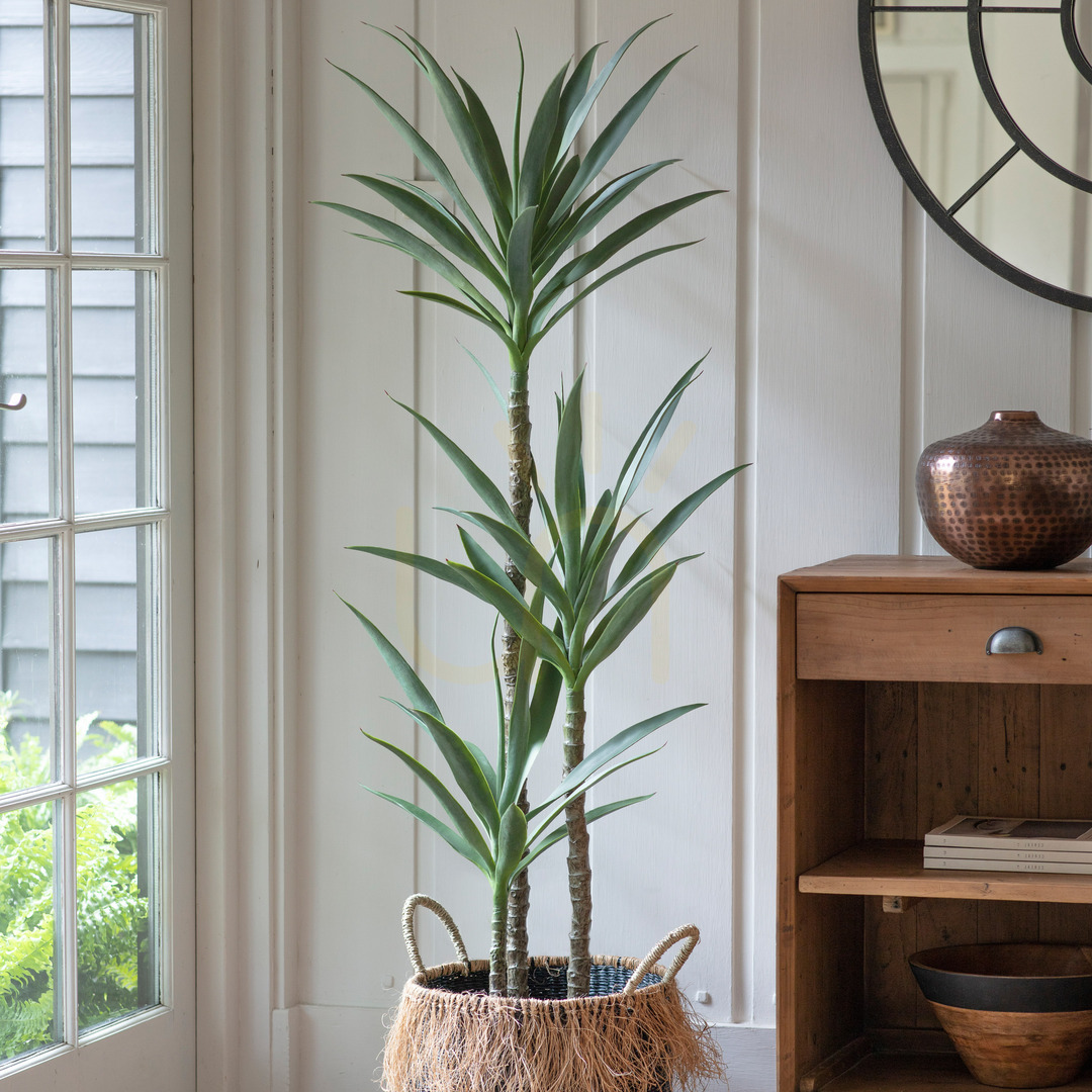 Vedere Copac artificial Yucca 3 capete verde 150 cm Gallery Direct 5059413399152 Copac artificial Yucca 3 capete verde 150 cm Gallery Direct 5059413399152