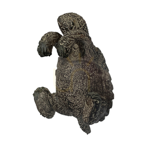 Suport ghiveci țestoasă Gallery Direct Winston natural poliresină 2 buc. 5059413410857 0 Suport ghiveci țestoasă Gallery Direct Winston natural poliresină 2 buc. 5059413410857 small 0