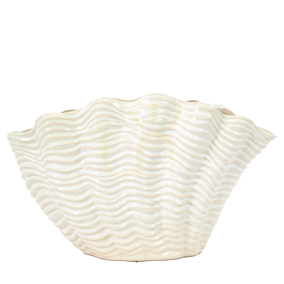 Afişa Vază scoică mare Gallery Direct albă din gresie 370x165x225 mm 5059413868993 Vază scoică mare Gallery Direct albă din gresie 370x165x225 mm 5059413868993