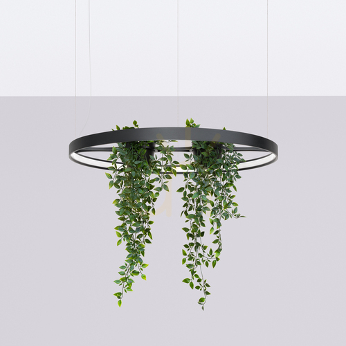 Verifica RIO BIO 78 negru LED 4000K candelabru