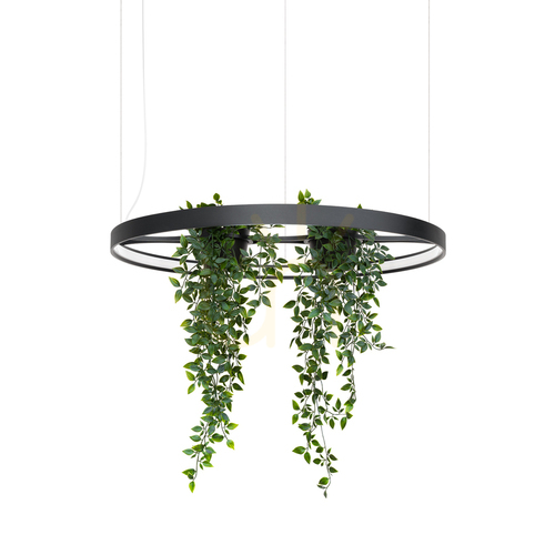 Verifica RIO BIO 78 negru LED 4000K candelabru