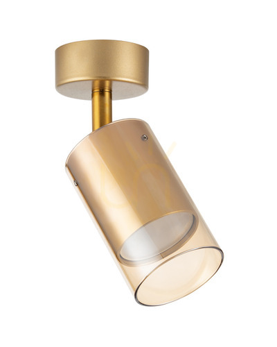 Verifica Aplice Zuma Line REN OB-2211BD-1-GLD GU10 auriu