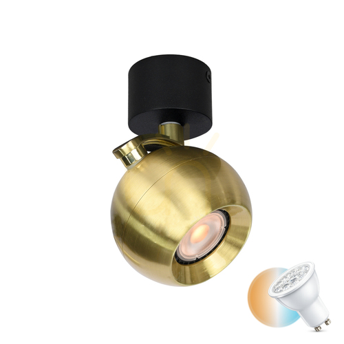 Verifica Spot Italux negru GU10 LED dimabil aluminiu 10 cm SPL-45379-1R-BK-GD
