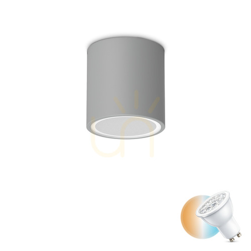 Verifica Plafonieră exterior Ideallux TECHO rotundă gri GU10 D9 342726