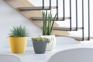 WHEATY vas rezistent la îngheț - antracit 5,4 L small 2