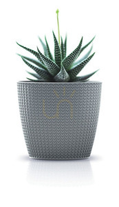 WHEATY vas rezistent la îngheț - antracit 9 L small 3