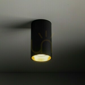Amis negru Downlight small 2
