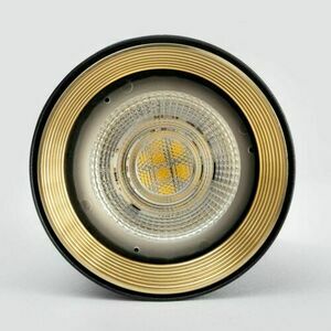Amis negru Downlight small 6