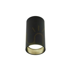 Amis negru Downlight small 8