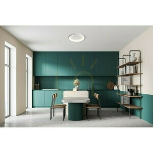 Plafonieră LED Italux Raden albă 58 cm CLN-3151-M-WH small 1