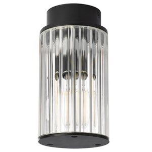 Plafonieră ARGON Norfolk neagră IP44 E27 8773 small 1