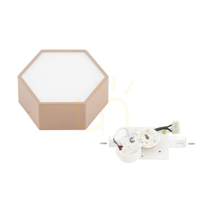 Plafon ARGON LIBERO 8782 LED 1150 lm 3000K Piersică Suculentă IP20 small 5