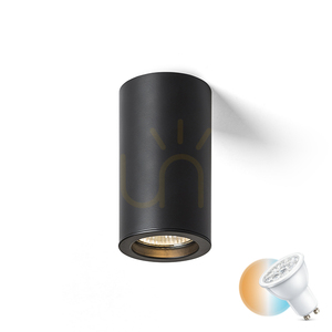 Plafond Rendl R14560 Moma Plafonieră, Downlight negru small 0