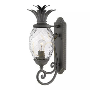 Felinar de perete exterior Elstead Hinkley PLANTATION M ananas, negru Museum Black, E27 40 W, IP44, 54 cm small 0