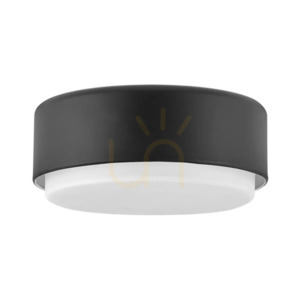Plafonieră Cedric - 2 surse de lumină - Negru Elstead small 0