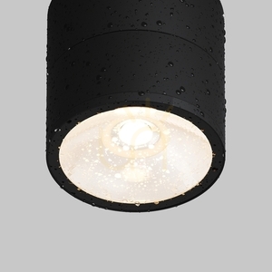 SPIN O310CL-L5GF3K plafon exterior IP54 Maytoni small 4