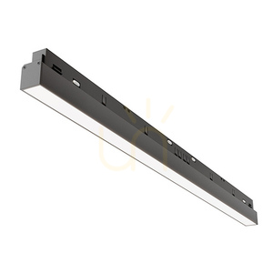 Lampă pentru șine BASIS TR030-4-24WTW-DD2-B Maytoni small 1