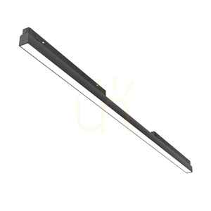 Lampă pentru șine BASIS TR030-4-30WTW-DD2-B Maytoni small 1