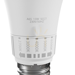 Led Gls E27 230 V 13 W 5 Cct Spectrum small 2