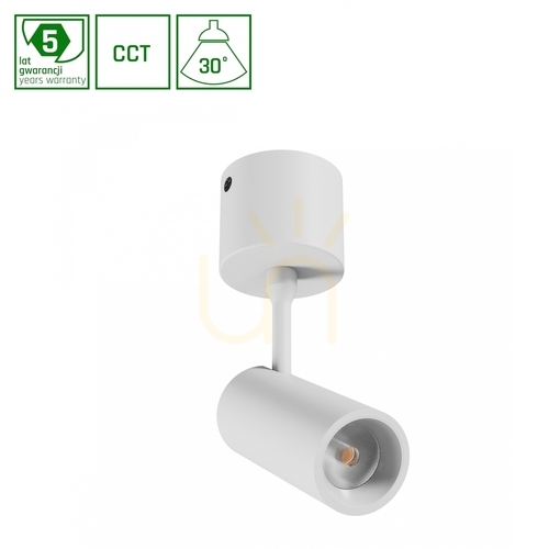 Verifica Spot aplicat SpectrumLED SPOT M WLD+20017_CCT LED 10 W CCT 30° alb IP20