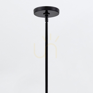 MADDOX lampă suspendată mică - 1 sursă de lumină - Negru QUINTIESSE small 4