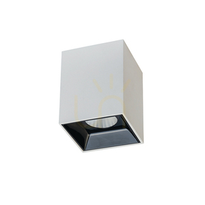 Plafon Spot LED 10W alb ZAMBELIS small 0
