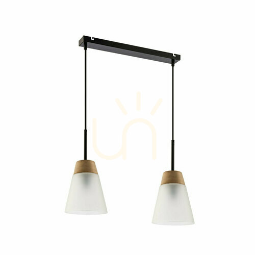 Verifica DOMINO Lampă cu pandantiv negru 2xE27/15W