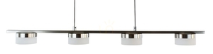 Lustră suspendată CASSIS LED cu 4 surse 24 W 3000 K, nichel mat, 75 cm – Aviano 7066-503 small 1