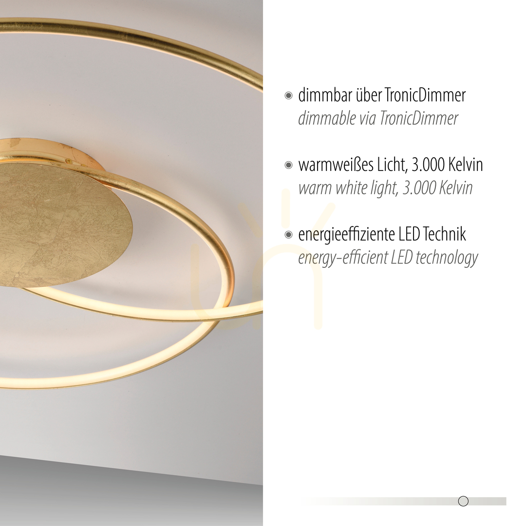 Afişa NASTRO Plafond 6189-12 Aur 1xLED NASTRO Plafond 6189-12 Aur 1xLED