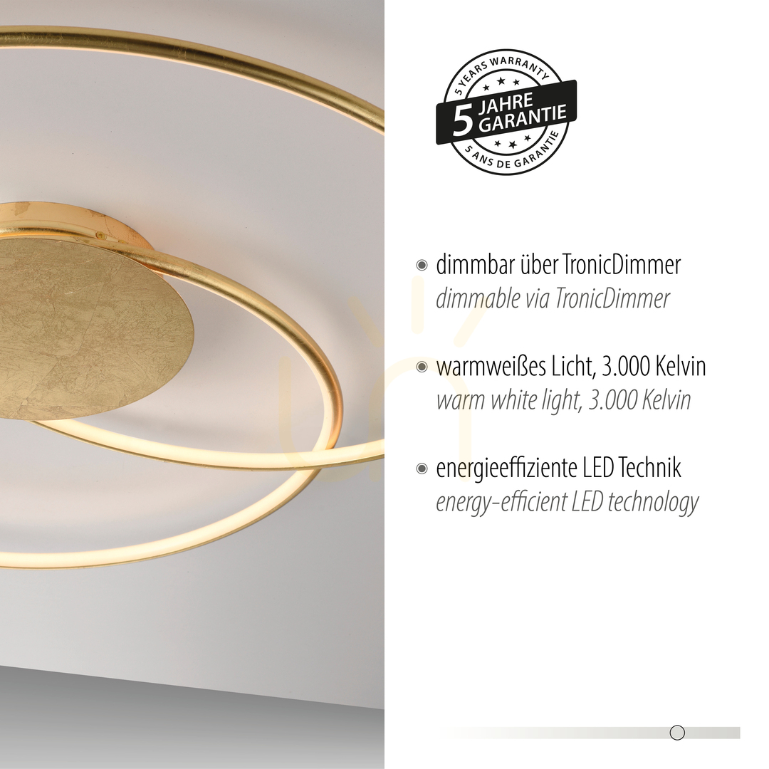 Spectacol NASTRO Plafond 6189-12 Aur 1xLED NASTRO Plafond 6189-12 Aur 1xLED