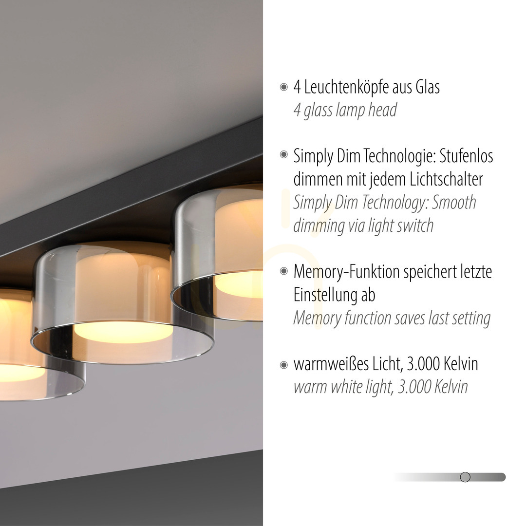 Afişa Plafond RIKA 6164-18 Negru 4xLED Plafond RIKA 6164-18 Negru 4xLED