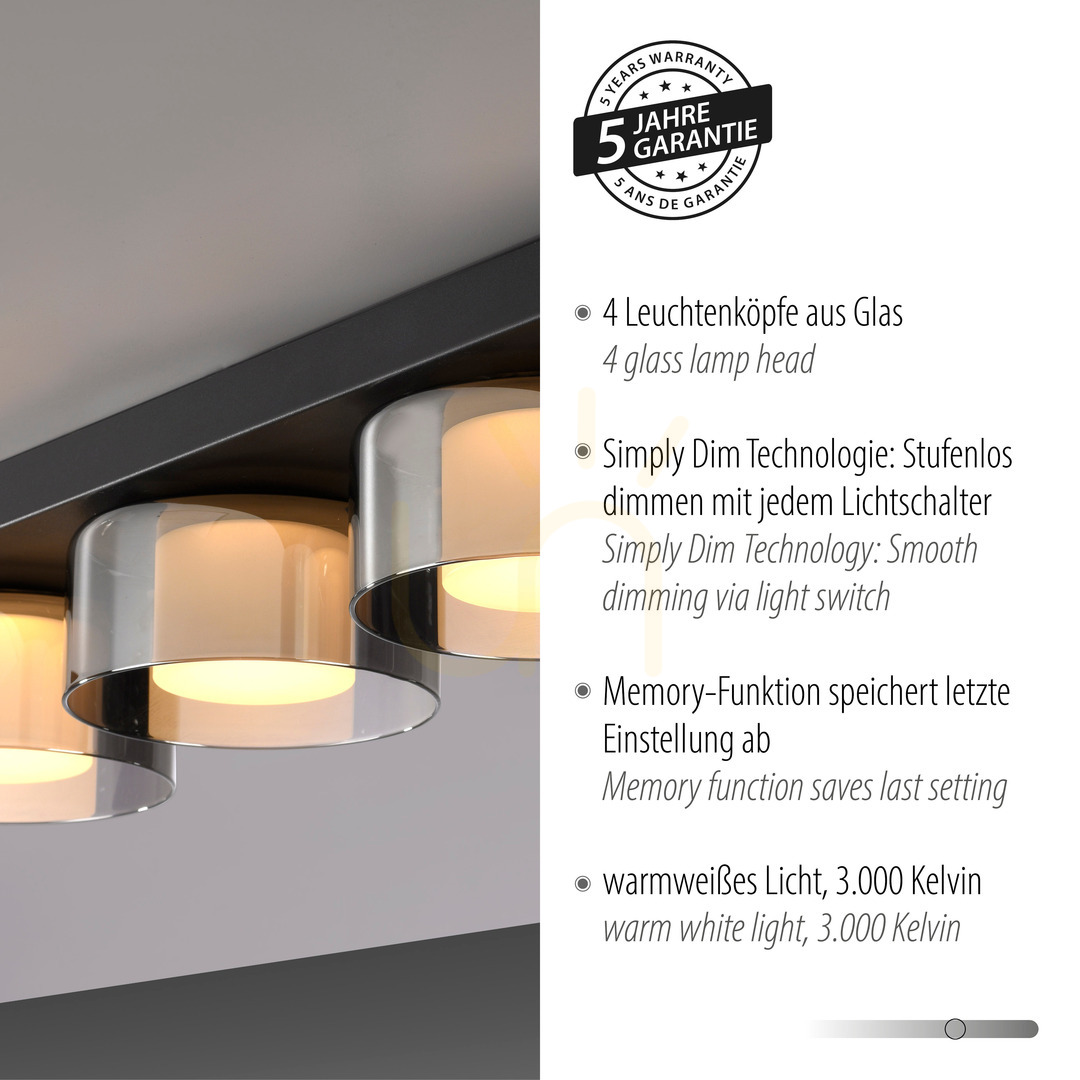 Spectacol Plafond RIKA 6164-18 Negru 4xLED Plafond RIKA 6164-18 Negru 4xLED