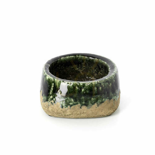 Verifica Ghiveci Moss Bowl verde beton 16,5 cm, handmade