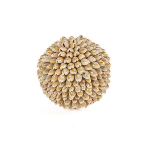 Sferă decorativă din scoici Bazar Bizar Oluolu Shell Ball M, Ø 11 cm, albă small 3