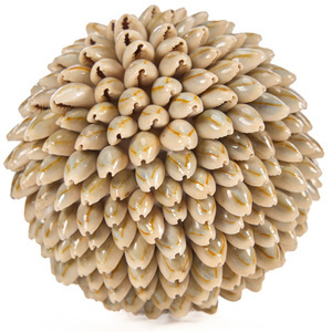 Sferă decorativă din scoici Bazar Bizar Oluolu Shell Ball M, Ø 11 cm, albă small 6