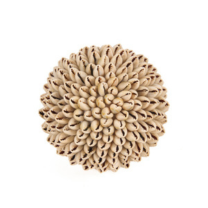 Sferă decorativă din scoici Bazar Bizar Oluolu Shell Ball M, Ø 11 cm, albă small 7