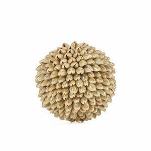 Sferă decorativă din scoici Bazar Bizar Oluolu Shell Ball M, Ø 11 cm, albă small 0