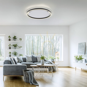 Plafond RITUS 15392-13 Antracit 1xLED small 2