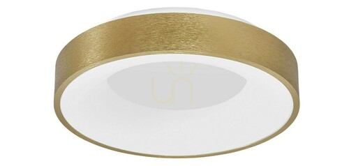 Verifica TOME Luces Exclusivas Plafond LE41536