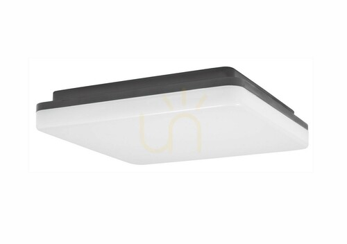 Verifica TALAVERA Luces Exclusivas Outdoor Plafonds LE71427