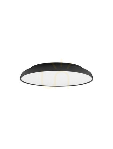 Verifica Plafond BARCA Luces Exclusivas LE43545