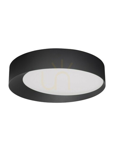 Verifica Plafond MUZQUIZ Luces Exclusivas LE43589