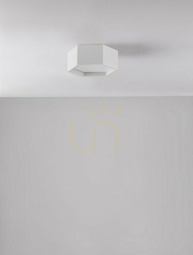 Verifica Plafond ADRIAN Luces Exclusivas LE43601